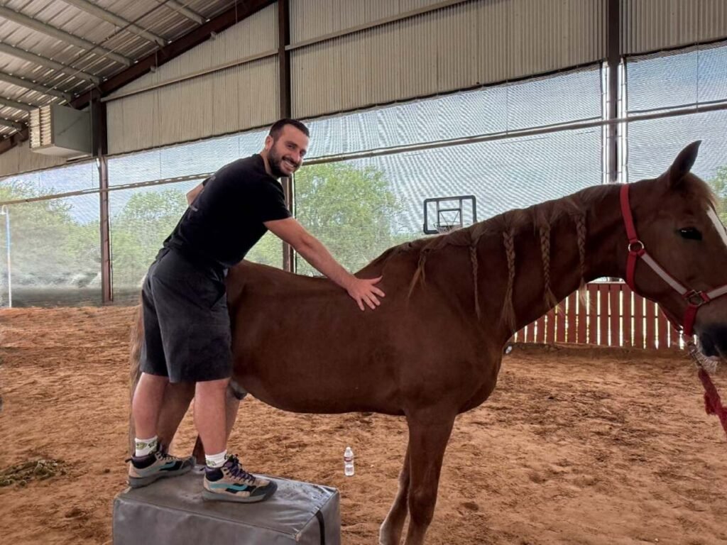 Chiropractic care for horses