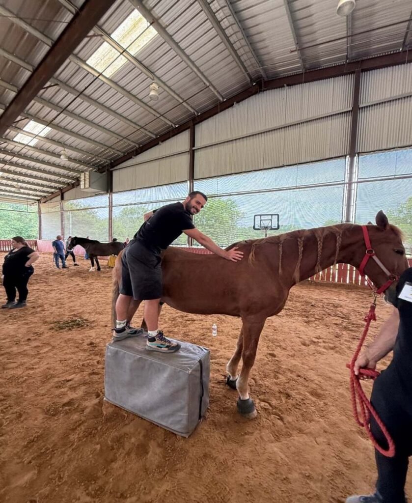 equine chiropractic care