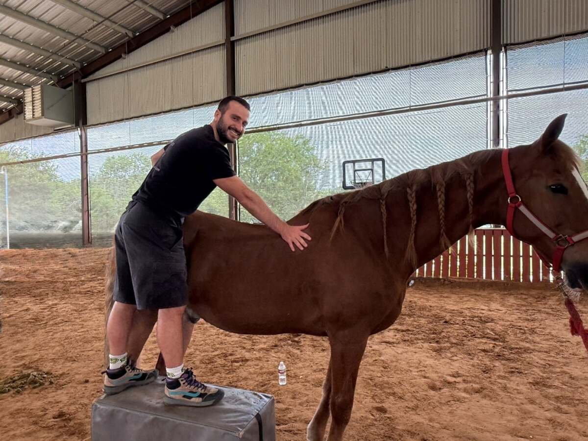 Cupping Therapy in Animals
