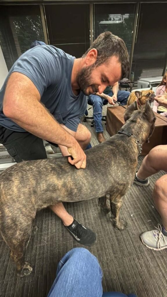 Soft Tissue Therapy to Dog