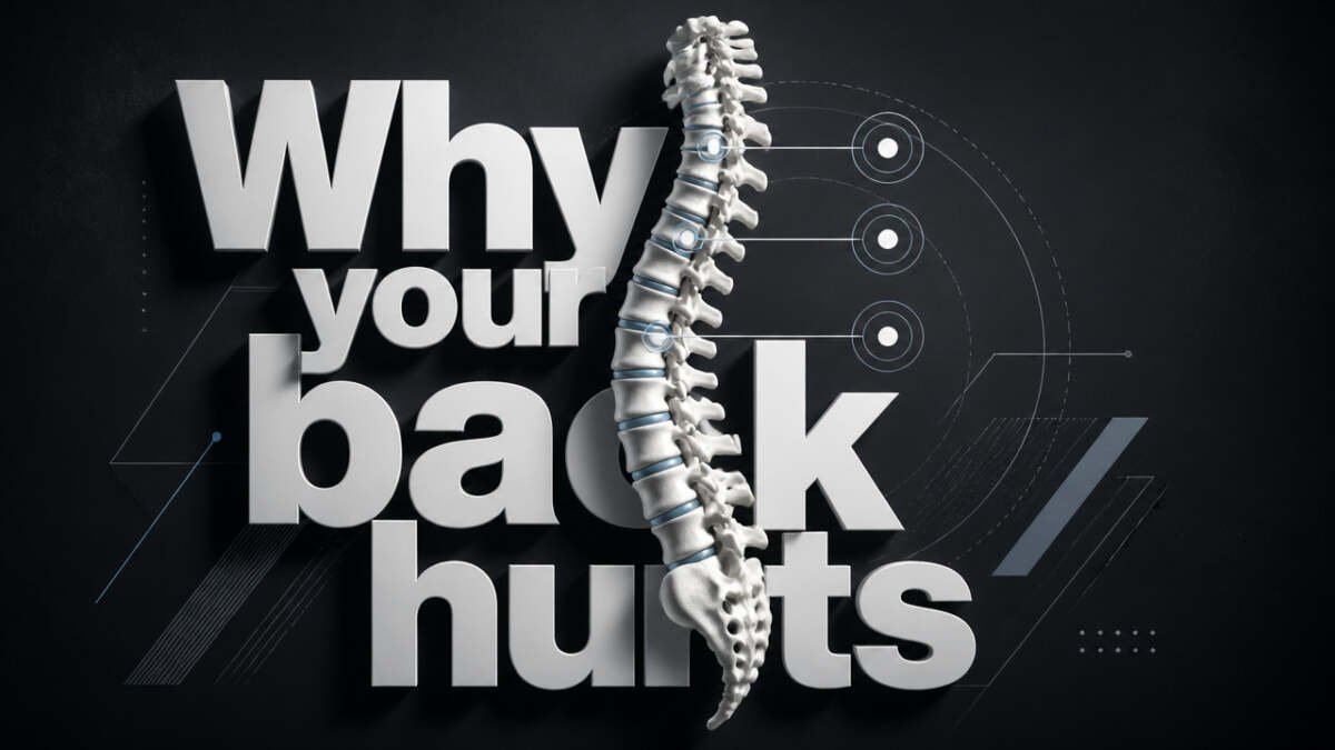 How Can a Chiropractor Help With Chronic Back Pain